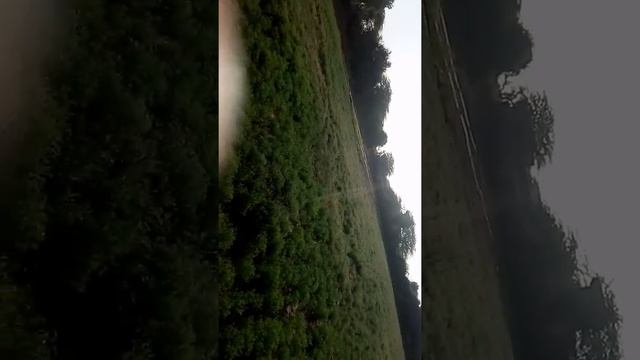 Marwadi desi jira rang roop 2018ll смотреть онлайн