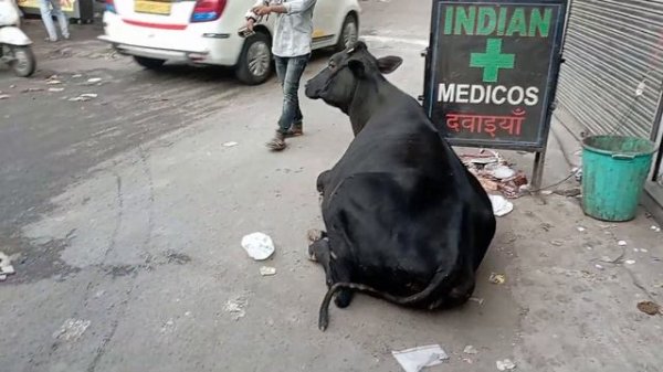 Дели октябрь 2024