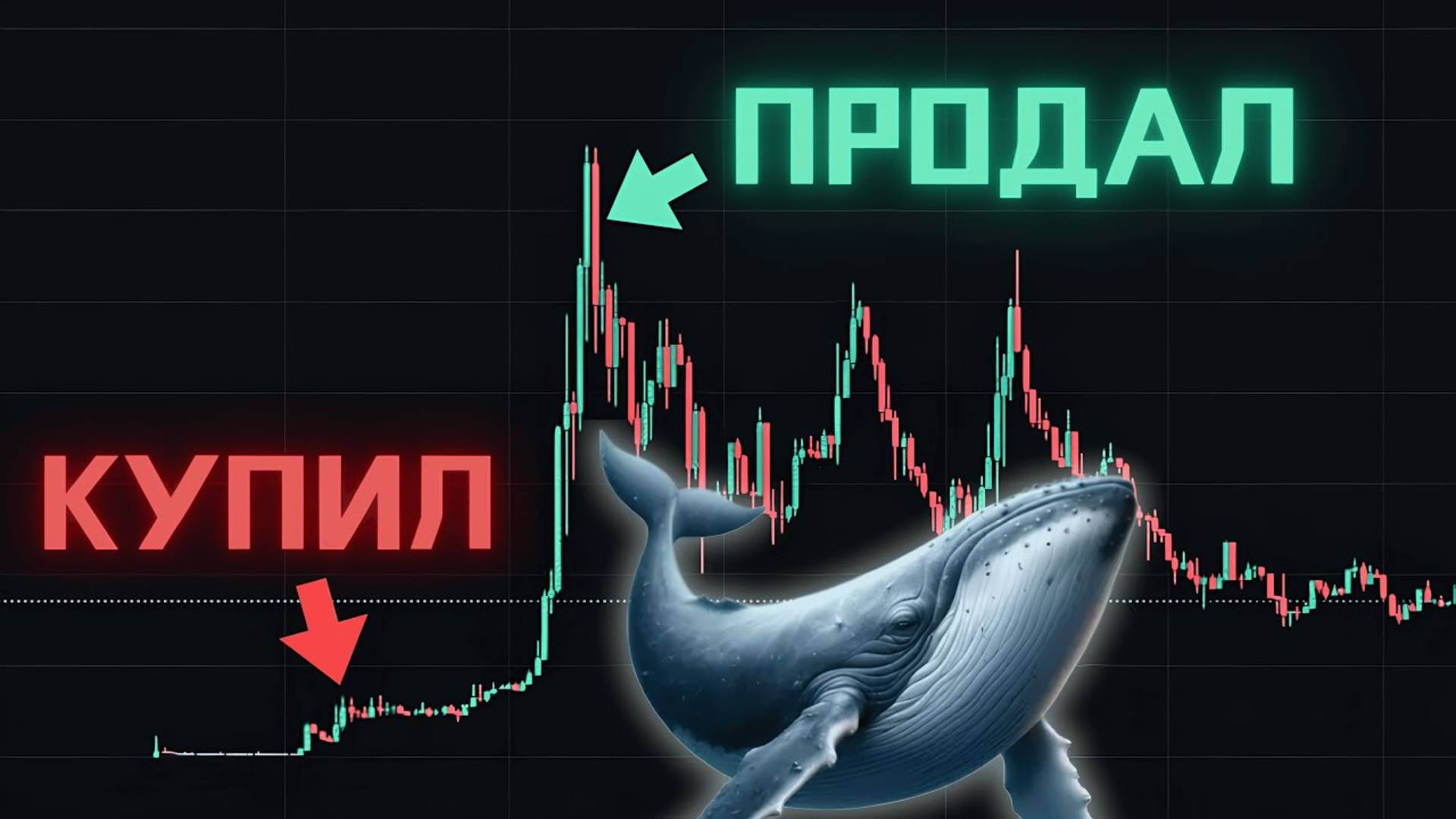 КАК ОТСЛЕЖИВАТЬ КИТОВ И ИНСАЙДЕРОВ | КАК ЗАРАБОТАТЬ НА КРИПТЕ СВОЙ ПЕРВЫЙ МИЛЛИОН | PumpFun КИТЫ