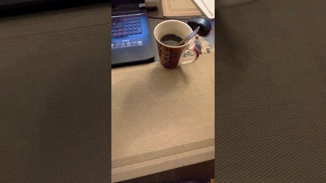 Странная еда в Нью Йорке смотреть онлайн