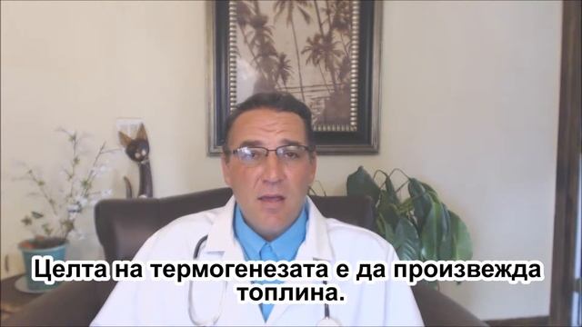 ефикасни хапчета за отслабване, зелено кафе капсули смотреть онлайн