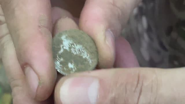 Нашел серебряные монеты смотреть онлайн