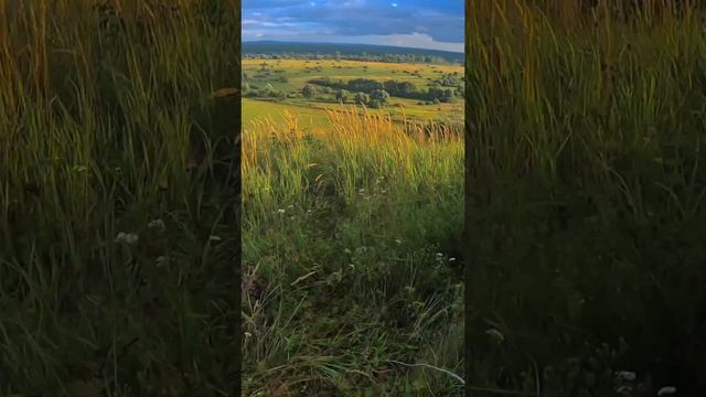 1000042343.mp4 смотреть онлайн