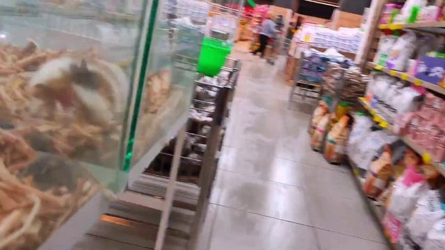 🔥Баку ЗАКУПКА УДАЛАСЬ с 2 Мегамаркетов🔥 смотреть онлайн