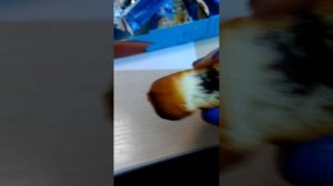 Пирожное Медвежонок Барни Вкус ореха и шоколада