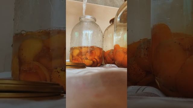Компот,абрикосы смотреть онлайн