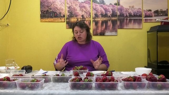8 серия КЛУБНИКА.  замер сахара в клубники