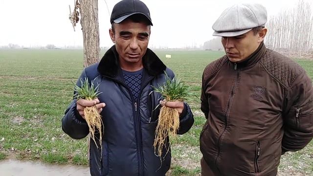 Ферганская обл Риштан смотреть онлайн