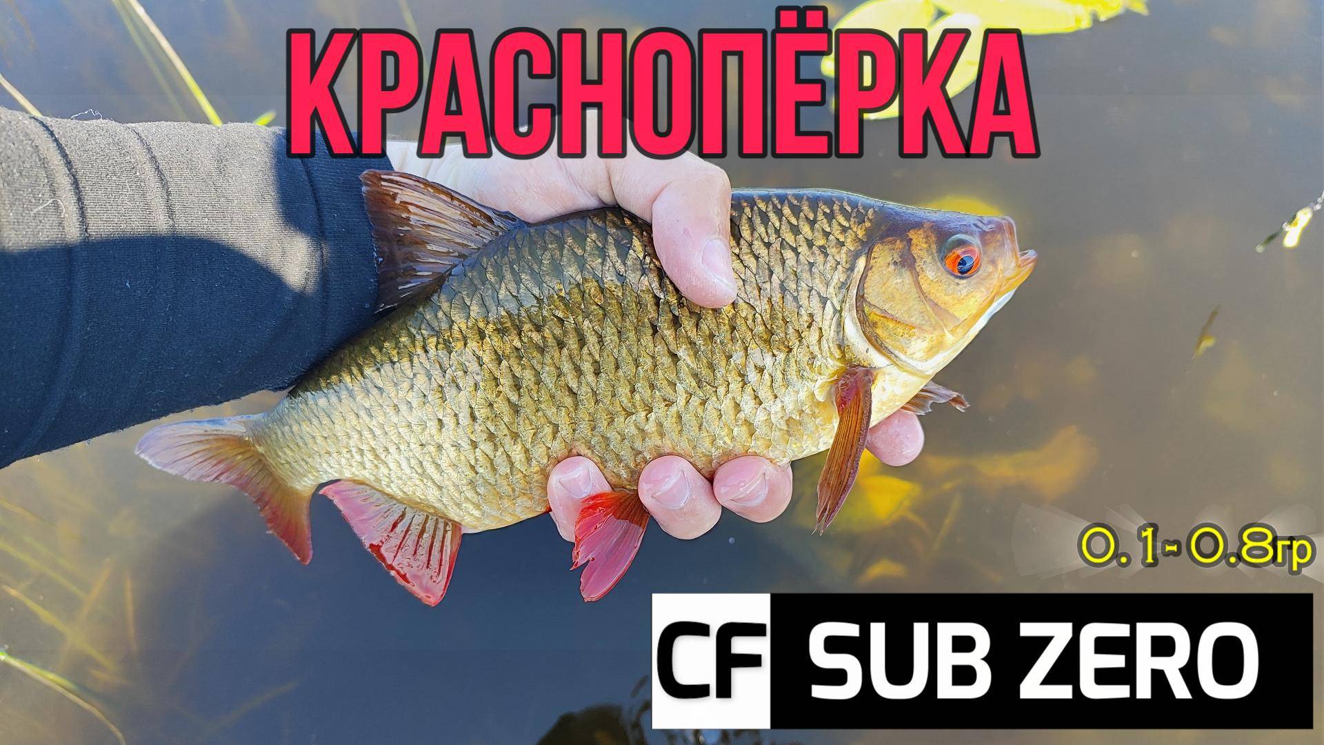 #мормышинг | Красноперка на каждом забросе | CF Sub Zero | смотреть онлайн