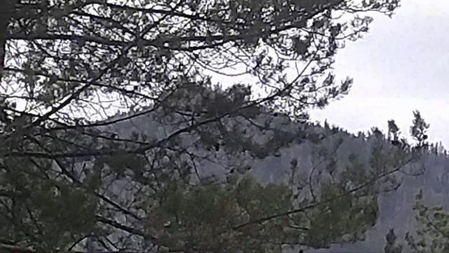 бобер ралли смотреть онлайн