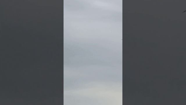 парит смотреть онлайн