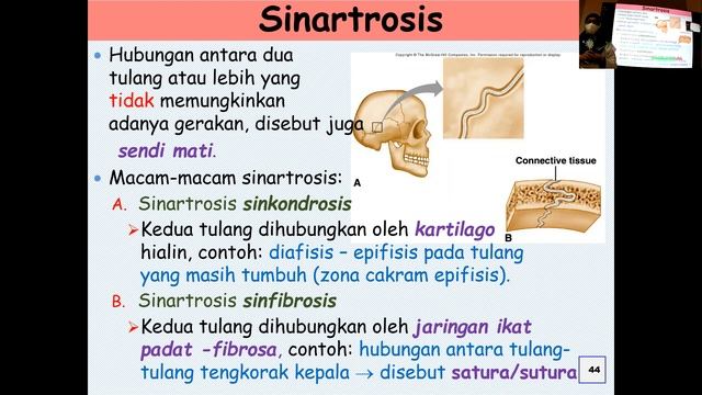 Biologi Kelas 11, Sistem Gerak: Alat Gerak Pasif, Persendian & Pertumbuhan Tuang смотреть онлайн