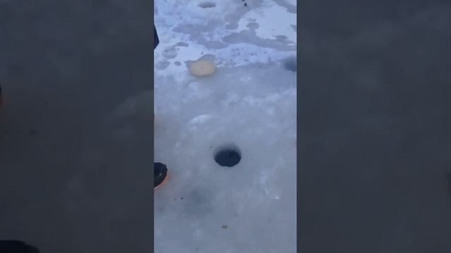 поимка форели смотреть онлайн