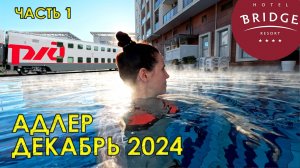 В Сочи на поезде в декабре. Адлер отель Bridge Resort зимой. Часть 1.