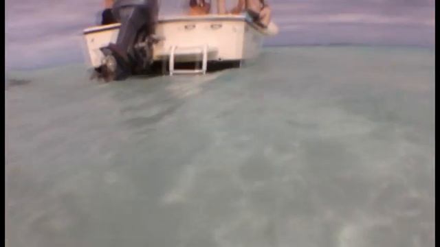 Sting Rays смотреть онлайн