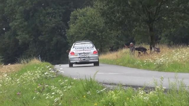 4 Runda RPŚl 2017 - Jastrzębie-Zdrój - Artur Podżorski / Agata Legierska - Peugeot 206 смотреть онлайн
