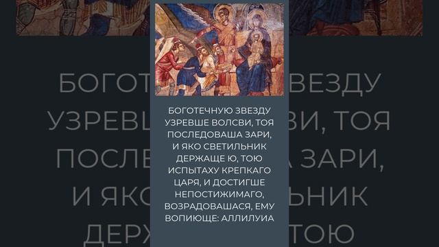 Боготечную звезду узревше волсви, тоя последоваша зари...#рождество #православие смотреть онлайн