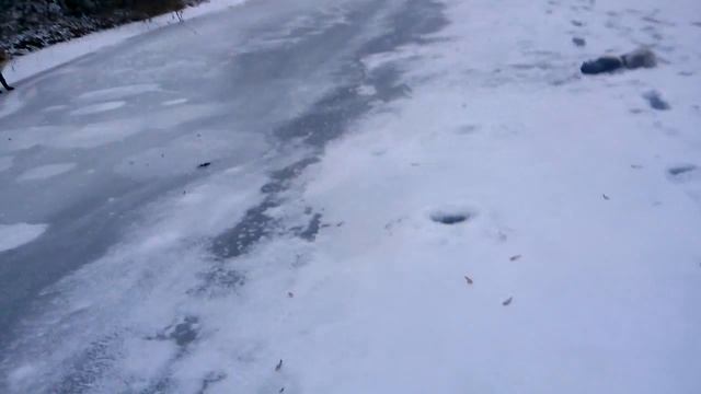 Лиса пришла смотреть онлайн