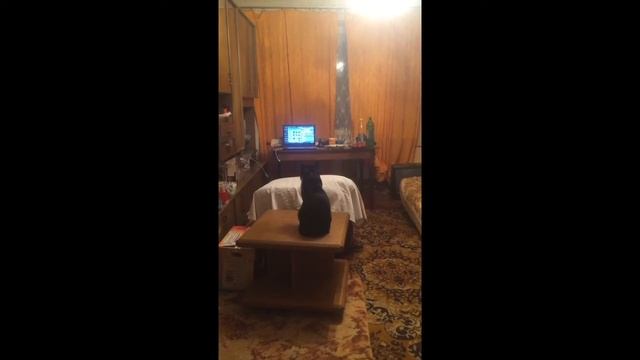 вася во время бомбежки смотреть онлайн