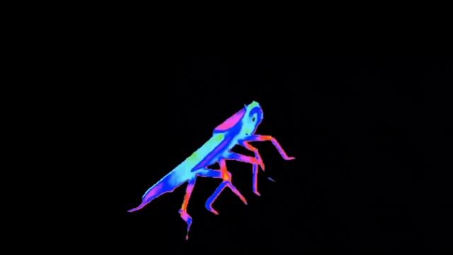 таракан танцует под три полоски 1 час смотреть онлайн