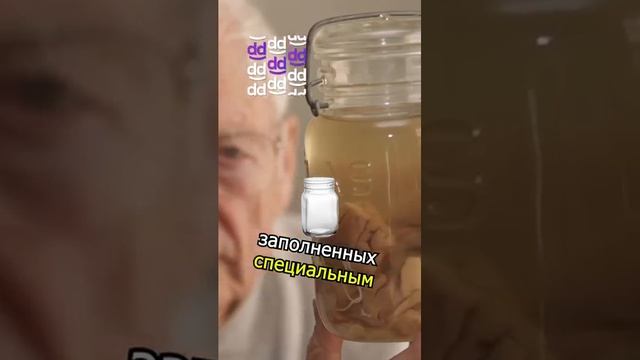 🧠 МОЗГ ЭЙНШТЕЙНА УКРАЛИ! 😨 #шортс #эйнштейн #гений #факты смотреть онлайн