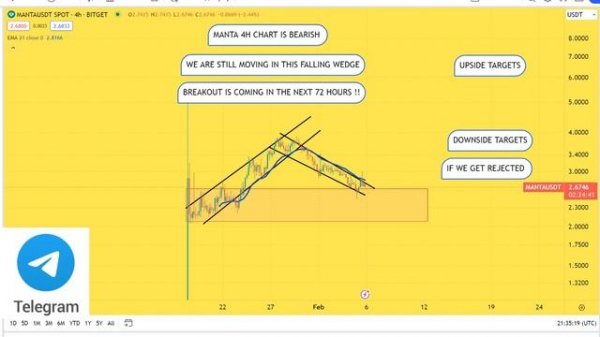 MANTA Prediction 05/FEB MANTA Coin Price News Today - Crypto Technical Analysis Update Price Now
