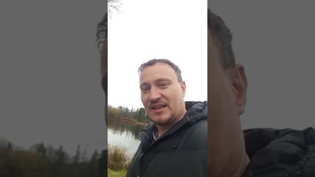Чтобы стать ковбоем, придется попадать с лошади🤠 смотреть онлайн