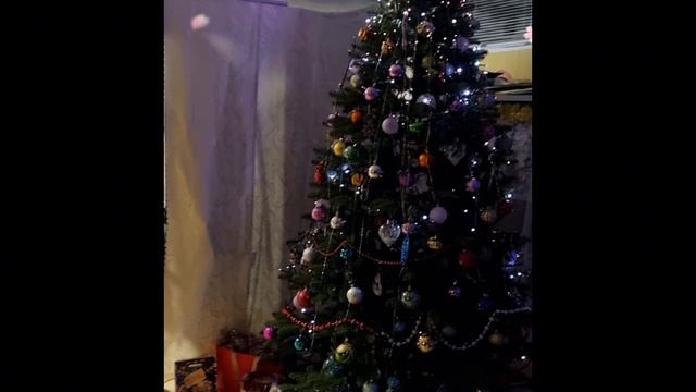 1000048158.mp4 смотреть онлайн