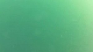 GoPro Hero 2 goes for an Offshore Swim!