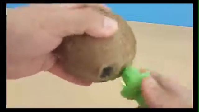 Реакция на вареру