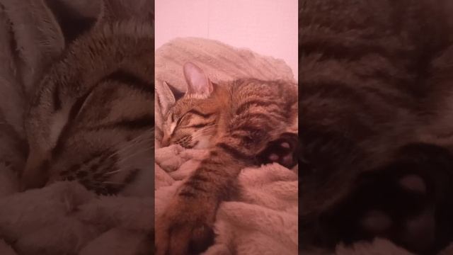 22 февраля 2023 г. смотреть онлайн