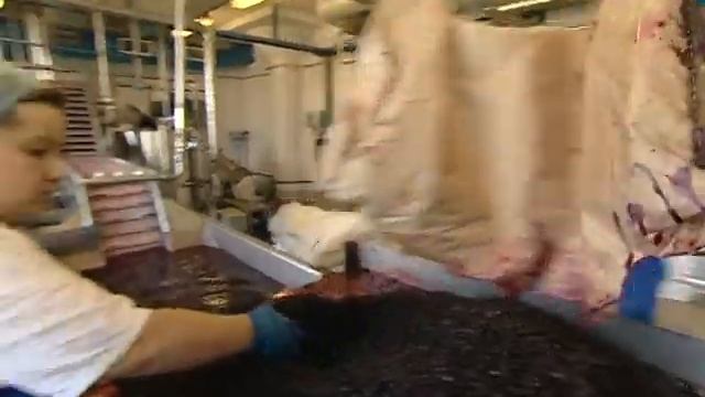 КАК ЭТО РАБОТАЕТ: Фабрика Мороженого смотреть онлайн