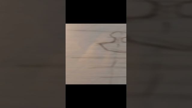 Туториал. Рисуем модель 😝 смотреть онлайн