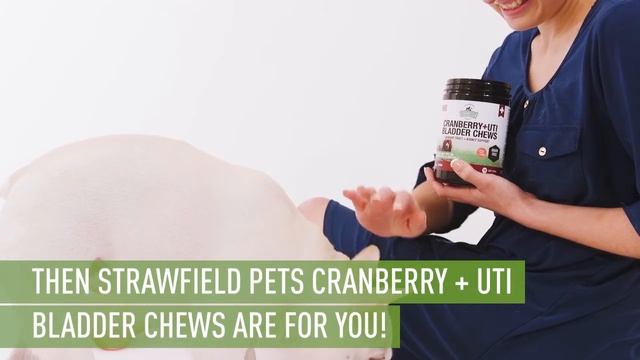 Strawfield Pets Cranberry UTI+ Bladder Chews for Dogs смотреть онлайн