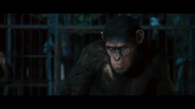 Caesar Is NOT Too Short For A Stormtrooper - Star Wars/Planet Of The Apes смотреть онлайн