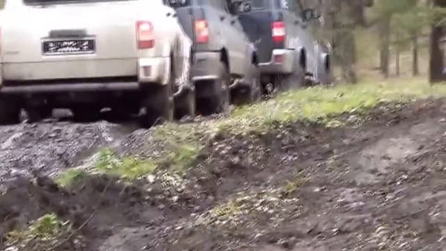 УАЗ ПАТРИОТ на выезде в лесу смотреть онлайн