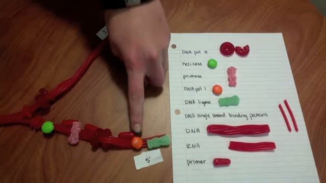 Bio Project DNA Replication #2 смотреть онлайн