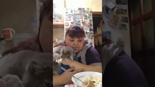 Ем макарошки с сарделькой запиваю кофе с кексом 🍜🌭☕🥮🍘🍪🍩🍮 смотреть онлайн
