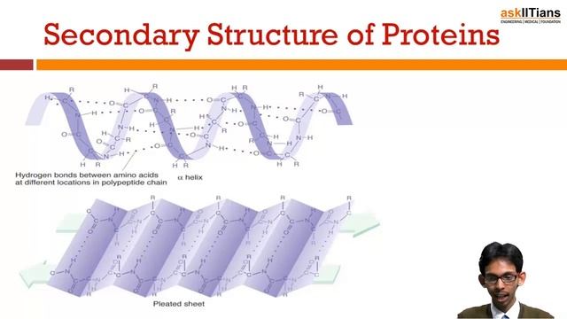 Proteins | Lecture-6 | Biomolecules | Chemistry | Grade- 12 | JEE | NEET смотреть онлайн