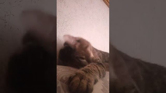 4 мая 2023 г. смотреть онлайн