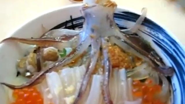 Танцующий кальмар смотреть онлайн