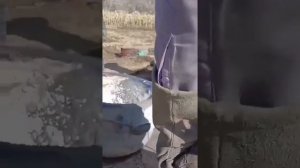 Что нужно делать, если замучали кроты.