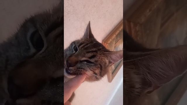 ем смотреть онлайн