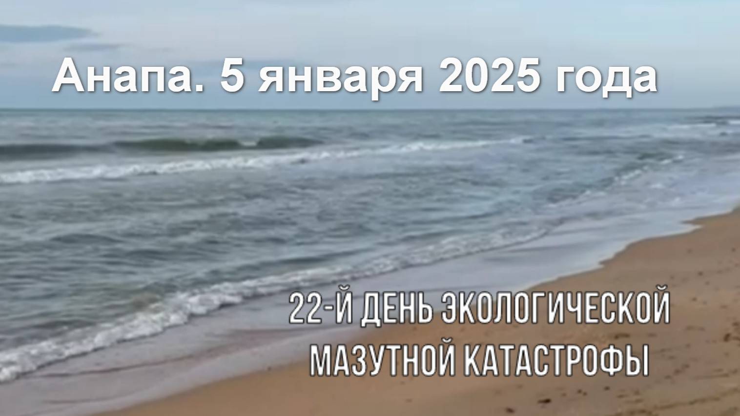 Анапа, 5 января 2025 года, 22-й день экологической мазутной катастрофы смотреть онлайн