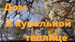 Мечта, дом в купольной теплице, Норвегия.