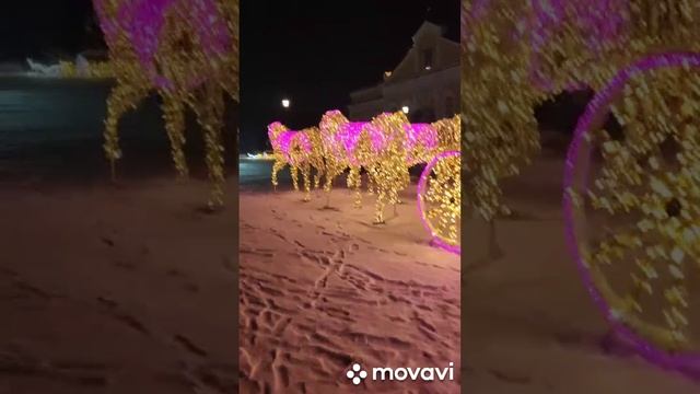 С Рождеством Христовым из Дивеево .mp4