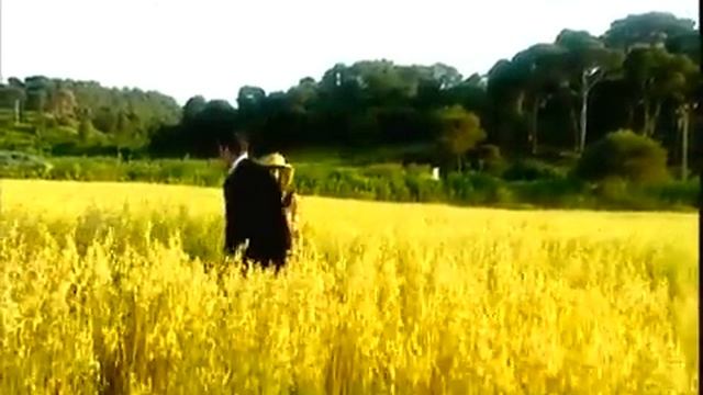 Алжирские песни наследие алжирского massi.flv смотреть онлайн