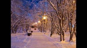 Мои ночные друзья