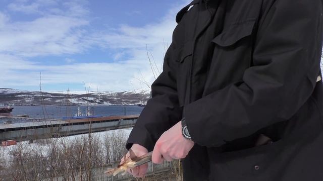 Проект по кругу. Нож Бушкрафт от Atroposknife. смотреть онлайн