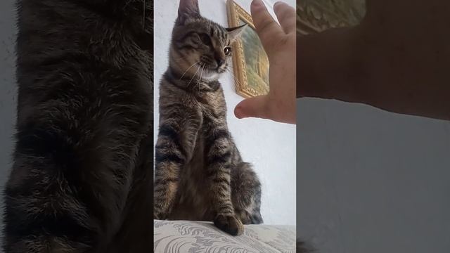 10 февраля 2023 г. смотреть онлайн